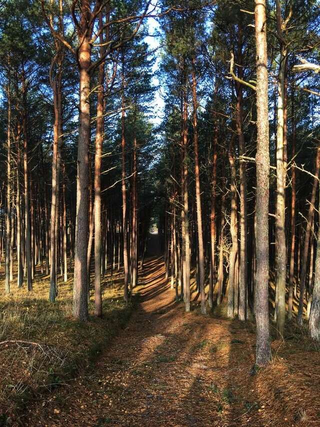 Апарт-отели Kopų terasos Нида-15